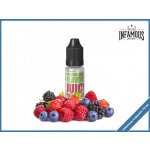 Infamous Liqonic Juicy Red Fruits 10 ml – Zbozi.Blesk.cz