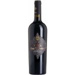 Fina Caro Maestro suché červené 2016 14% 0,75 l (holá láhev) – Hledejceny.cz