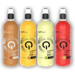 QNT L-Carnitine 2000 700 ml – Zboží Mobilmania