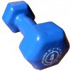 Ariana Jednoručka Vinyl Dumbell 4kg