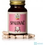 NaturalProtein Spalovač 60 kapslí – Hledejceny.cz