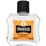 Proraso Wood & Spice balzám na vousy 100 ml – Zboží Dáma