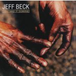 Jeff Beck - YOU HAD IT COMING CD – Hledejceny.cz