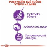 K-9 Selection Growth Large 12 kg – Zboží Mobilmania