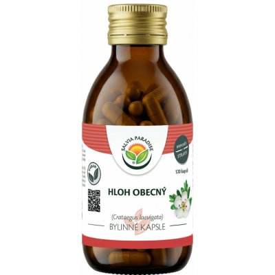 Salvia Paradise Hloh obecný 120 kapslí – Hledejceny.cz