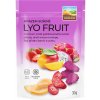 Sušený plod FARMLAND Lyofruit mix jahody dračí ovoce a mango 30 g