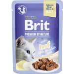 Brit Premium Cat Delicate Fillets in Jelly Beef 85 g – Zbozi.Blesk.cz