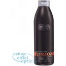 L'Oréal Homme Fiberboost Shampoo 250 ml