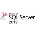 Microsoft SQL Svr Ent Core 2019 7JQ-01607 – Zboží Živě