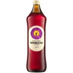 Carpe Diem Kombucha 0,75 l – Zboží Dáma