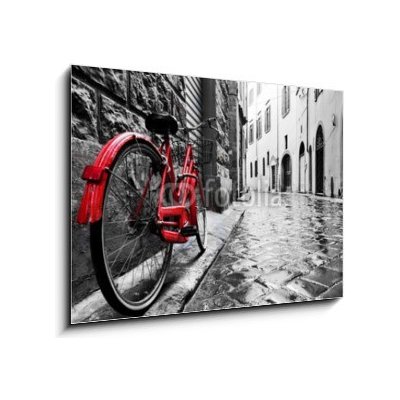 Obraz 1D - 100 x 70 cm - Retro vintage red bike on cobblestone street in the old town. Color in black and white Retro vinobraní červené kolo na dlážděné ulici ve starém – Zbozi.Blesk.cz