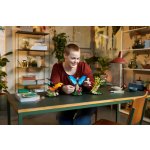 LEGO® Disney 21342 Hmyzí kolekce – Zboží Živě