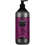 Black Rouge Color Lock Shampoo s extraktem z granátového jablka 1000 ml – Hledejceny.cz
