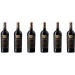 Casa Charlize Passonata Primitivo IGT 14% 6 x 0,75 l (holá láhev) – Hledejceny.cz