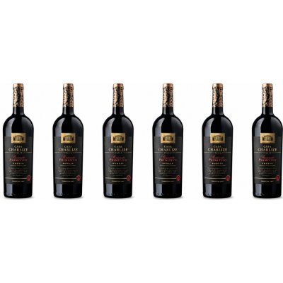 Casa Charlize Passonata Primitivo IGT 14% 6 x 0,75 l (holá láhev) – Hledejceny.cz