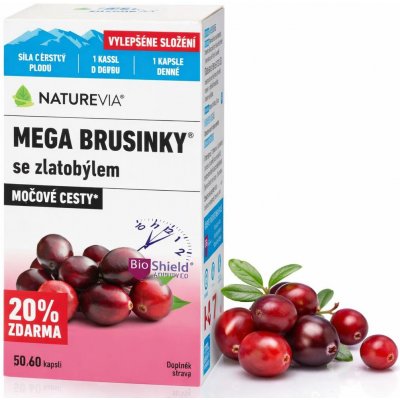NatureVia Mega Brusinky 60 kapslí 500 mg – Hledejceny.cz