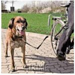 Trixie dog vodící set na kolo 2,5 cm/1-2m – Zboží Mobilmania
