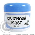 Dr. Popov diviznová mast k masáži unavených končetin 50 ml – Hledejceny.cz