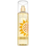 Elizabeth Arden Sunflowers tělový sprej 236 ml – Zboží Dáma
