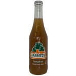 Jarritos Tamarind Limo 370 ml – Zboží Dáma