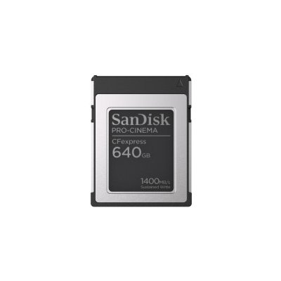 SanDisk 640 GB SDCFEC-640G-GN4NN