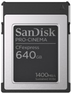SanDisk 640 GB SDCFEC-640G-GN4NN