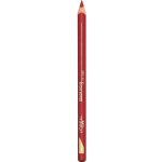 L'Oréal Paris Tužka na rty Color Riche Le Lipliner 125 Maison Marais 1,2 g – Zboží Dáma