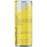 Red Bull The Summer Edition Sudachi Lime 250 ml – Zbozi.Blesk.cz