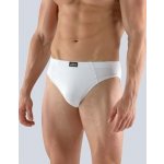 Gina pánské slipy s úzkým bokem, úzký bok, šité, s potiskem, jednobarevné 70058P bílá – Sleviste.cz