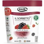 Tonitto Sorbet Lesní ovoce 500ml – Hledejceny.cz