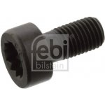 Sroub setrvacniku FEBI BILSTEIN 07584