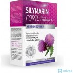 Silymarin Forte 250 mg mikronizovaný ostropestřec s vit D3 40 tablet – Hledejceny.cz