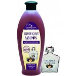 Herbavera šampon slivovicový 550 ml – Hledejceny.cz