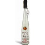 Hustopečská Mandlovka 38% 0,5 l (holá láhev) – Zboží Dáma