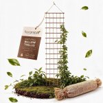 Dřevěná pergola Floranica s mřížkou, výška 30 cm – Hledejceny.cz