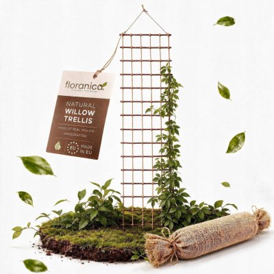 Dřevěná pergola Floranica s mřížkou, výška 30 cm – Hledejceny.cz