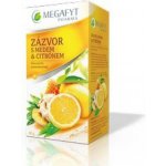 Megafyt Ovocný Zázvor s medem a citrónem 20 x 2 g – Hledejceny.cz