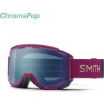 Smith Squad MTB 24/25 – Zbozi.Blesk.cz