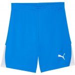 Puma TEAMLIGA 26 SHORTS Modrá,Bílá M – Hledejceny.cz