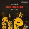 Hudba 80 Anos - Orquestra Afro Brasileira LP