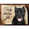 Autovýbava Sport hobby Cedulka Cane Corso Tady hlídám já CP991 20 x 15 cm