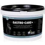 Global Medics Gastro Care+ 1,2 kg – Hledejceny.cz