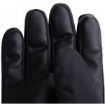Trekmates Chamonix GTX Gloves black – Hledejceny.cz