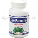 Nutristar Saw Palmeto 100 tablet – Hledejceny.cz