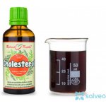 Dr. Popov Cholesterol bylinné kapky 50 ml – Hledejceny.cz