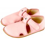 Antal Rascal Basic růžové – Sleviste.cz