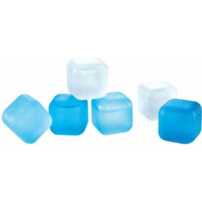 TESCOMA Chladicí kostky PRESTO, 24 ks – Zboží Mobilmania