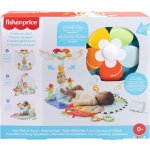 Fisher Price Hrací dečka s kolotočem pro motorický a kognitivní – Hledejceny.cz