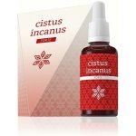 Energy Cistus Incanus 30 ml – Hledejceny.cz