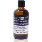 Ancient Wisdom Levandule masážní a tělový olej 100 ml – Hledejceny.cz